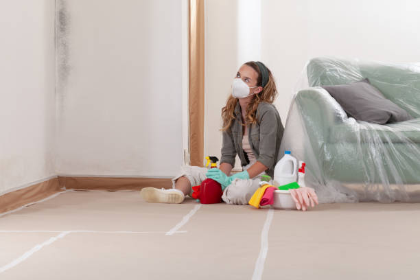 Reliable Black Mold Removal contractor in New Vernon, NJ by WQB Mold Removal